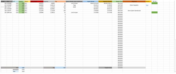 Forex Excel Günlük İşlem Raporu